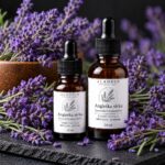 Angleška sivka (Lavandula angustifolia) – eterično olje Aladdin, 15 ml in 30 ml