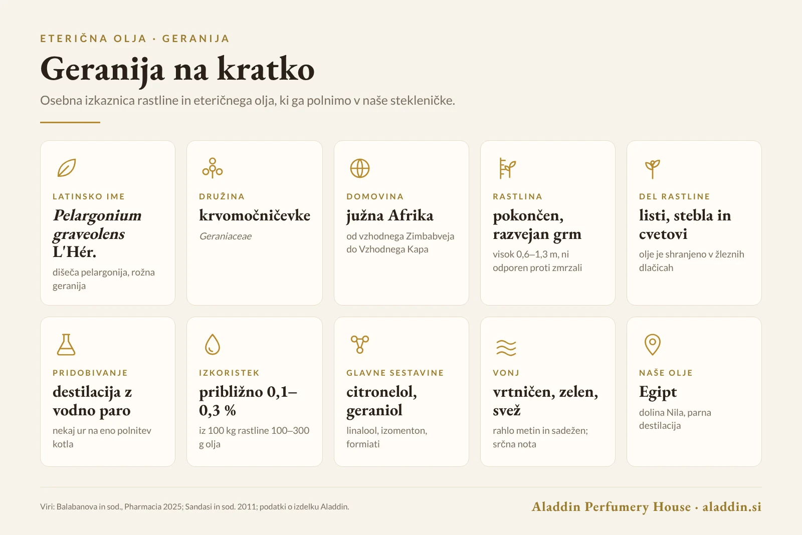 Infografika: geranija na kratko – latinsko ime, družina, domovina, pridobivanje, izkoristek in sestava olja