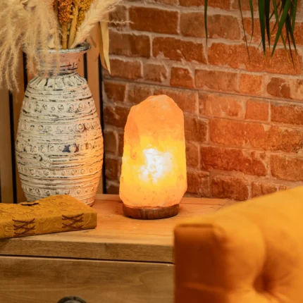 Lampe de sel de l'Himalaya sur socle, 3–5 kg | Aladdin – 2