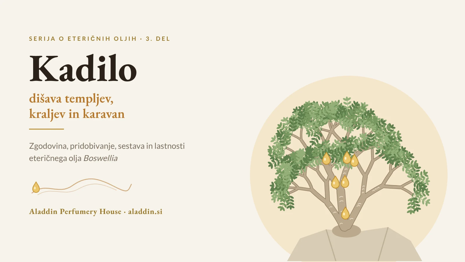 Kadilo – dišava templjev, kraljev in karavan: drevo bosvelije s kapljicami smole, naslovna slika članka