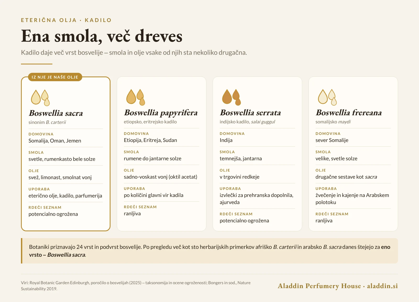 Infografika: štiri glavne vrste bosvelije, iz katerih pridobivajo kadilo – Boswellia sacra, papyrifera, serrata in frereana
