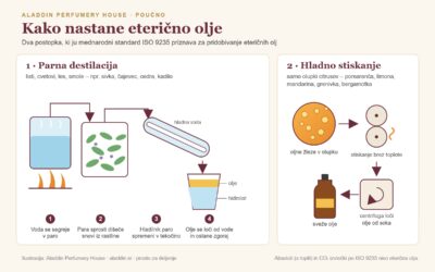Infografika: kako nastane eterično olje – parna destilacija (kotel, para, rastlinski material, hladilnik, ločevanje olja in hidrolata) in hladno stiskanje olupkov citrusov
