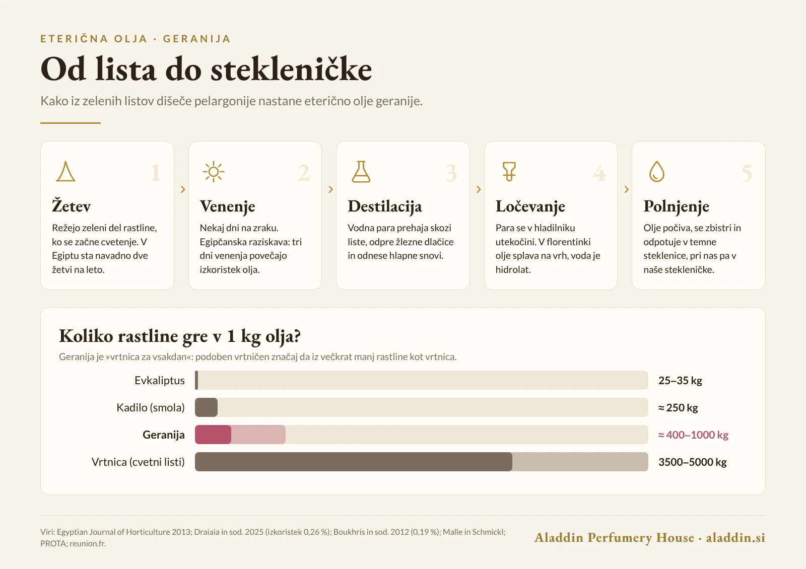 Infografika: pet korakov pridobivanja eteričnega olja geranije in primerjava izkoristka z evkaliptusom, kadilom in vrtnico
