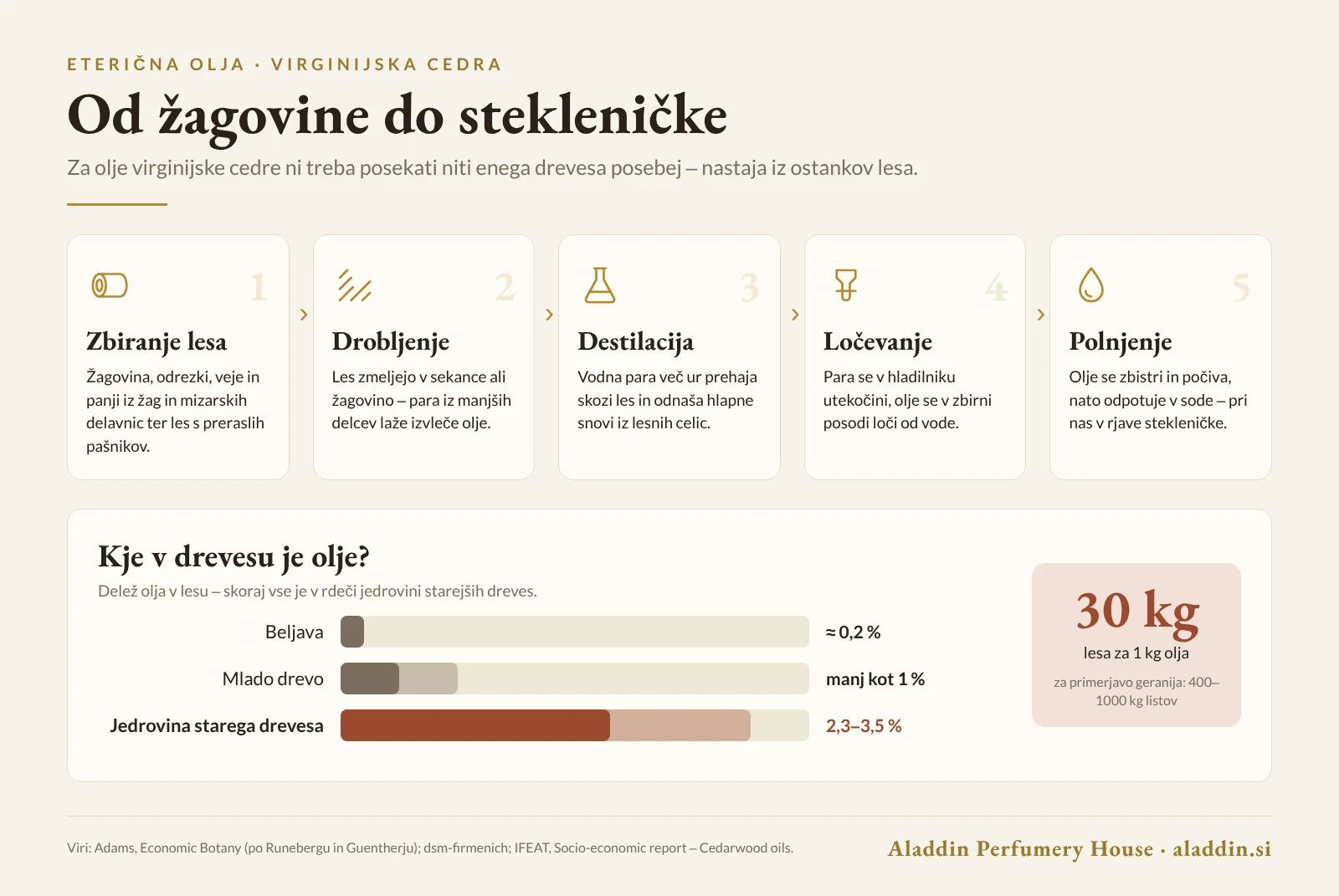 Infografika: pet korakov pridobivanja olja virginijske cedre iz žagovine in ostankov lesa ter izkoristek po delih drevesa