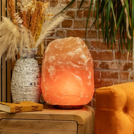 Grande lampe de sel de l'Himalaya, 20–25 kg | Aladdin – 2