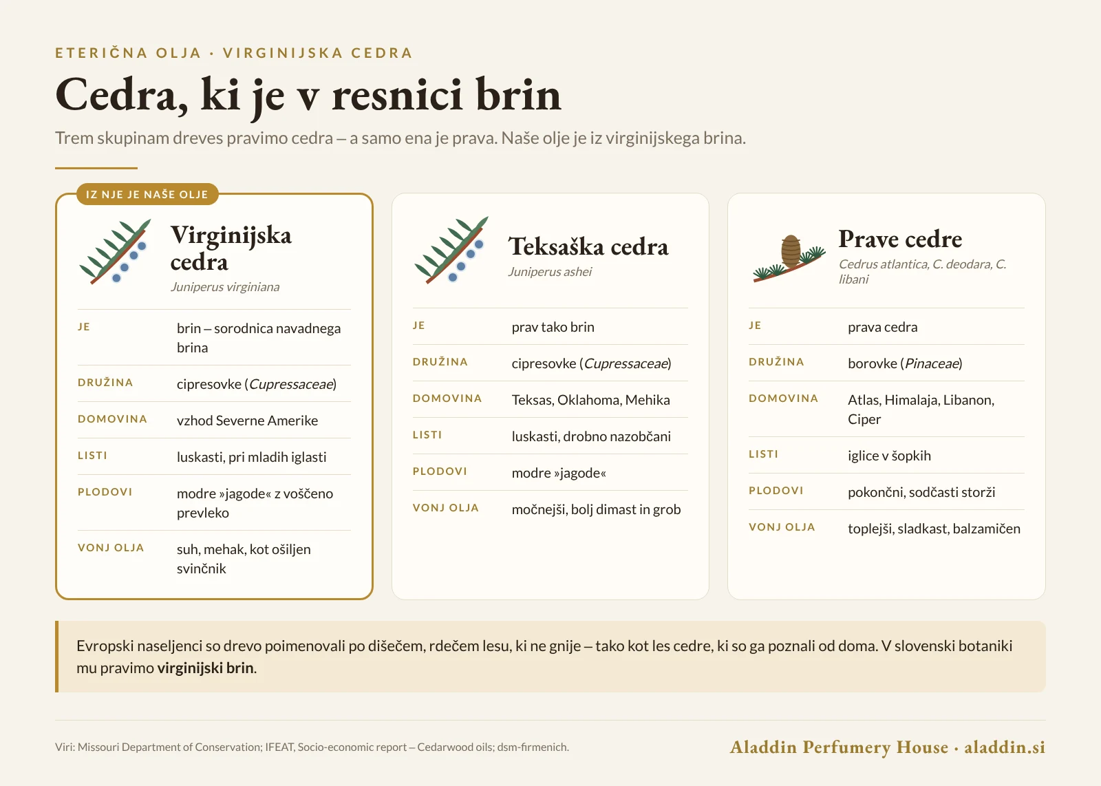 Infografika: razlike med virginijsko cedro, teksaško cedro in pravimi cedrami rodu Cedrus
